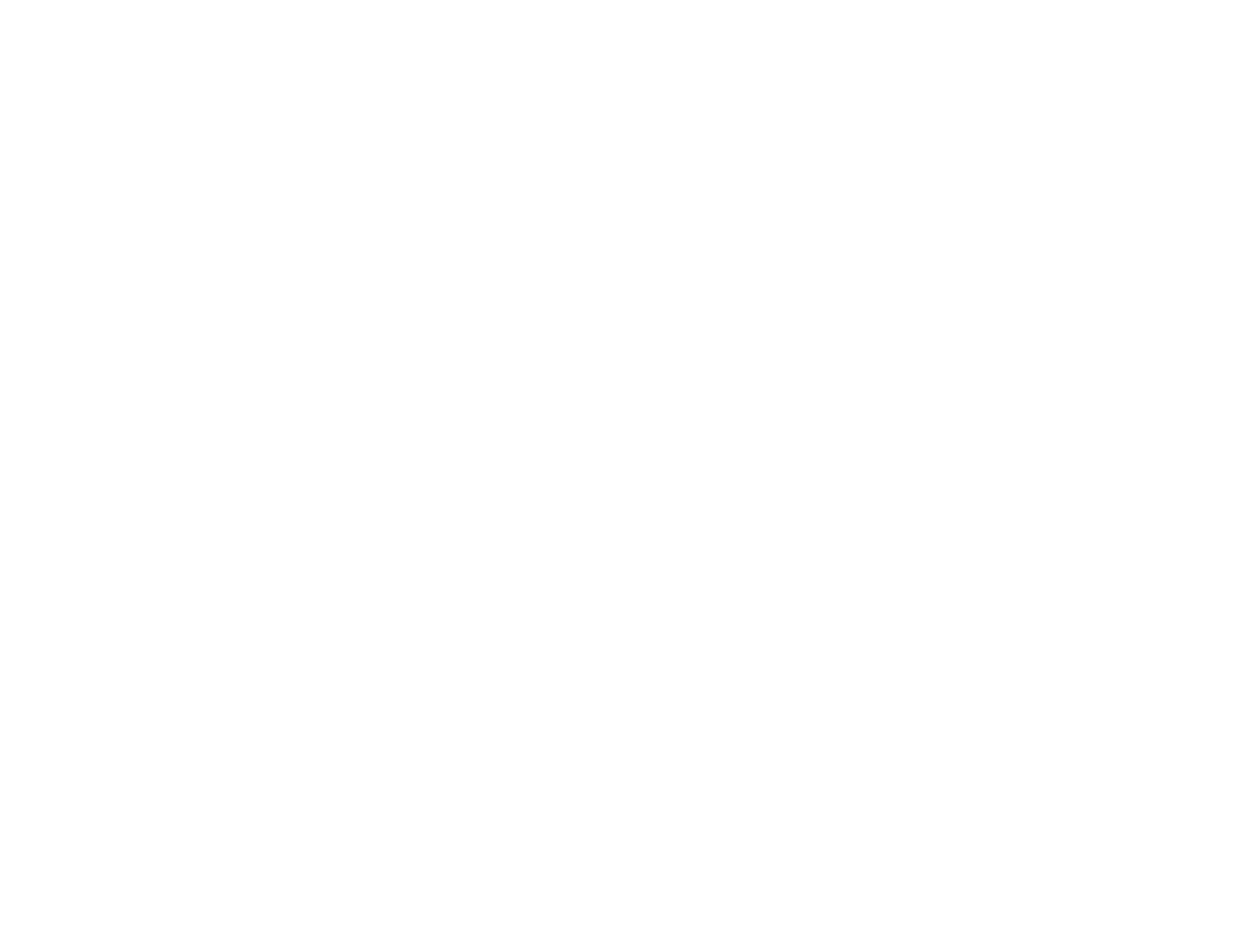 Maxumise Logo white (1)