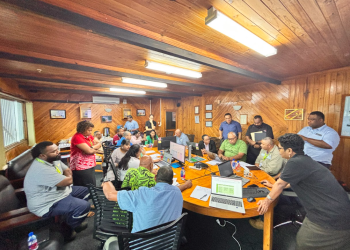 Fiji Pine Capability Framework