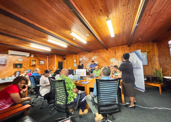 Fiji Pine Capability Framework